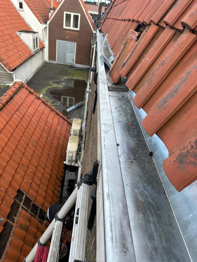 Nieuw aangebrachte zinken mastgoot langs een pannendak